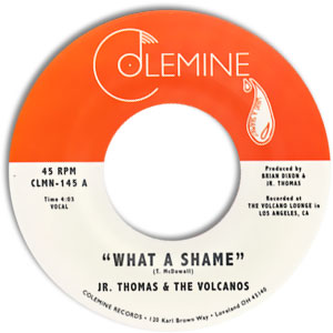 What A Shame/ Brian Wilson