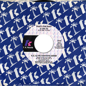 That's The Way (I Like It)/ What Makes You Happy