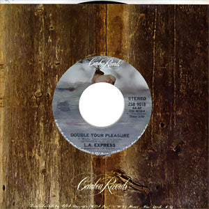 Dance The Night Away/ Double Your Pleasure