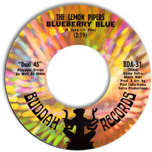 Rice Is Nice/ Blueberry Blue