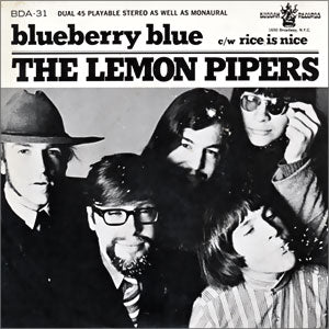 Rice Is Nice/ Blueberry Blue