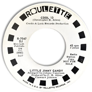 I'm Not Like The Others/ Cool 13