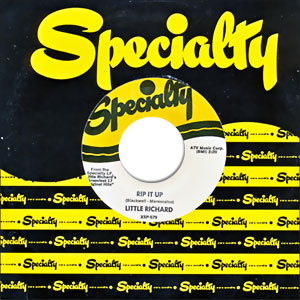 Rip It Up/ Ready Teddy