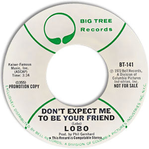 A Simple Man/ Don't Expect Me To Be Your Friend