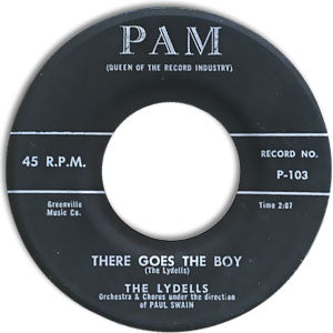 There Goes The Boy/ Talking To Myself