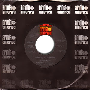 Walking On A Tightrope/ My Everything