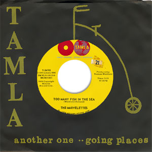 Too Many Fish In The Sea/ A Need For Love