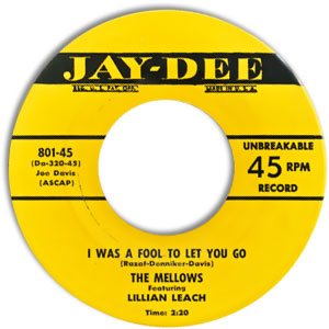 I Was A Fool To Let You Go/ I Still Care