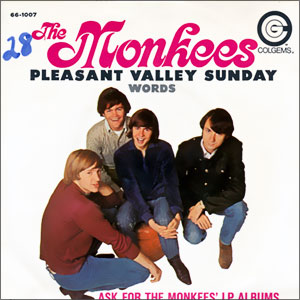 Pleasant Valley Sunday/ Words