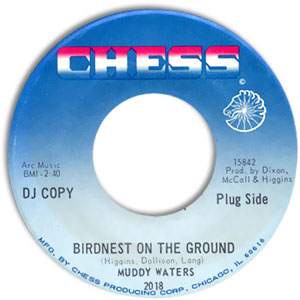 Birdnest On The Ground/ When The Eagle Flies