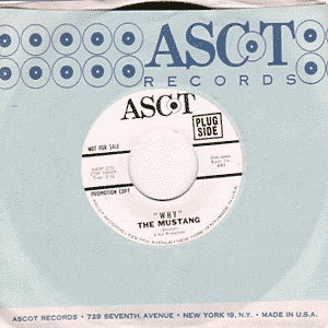 Why/ Here There and Everywhere