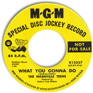 The Little Bird/ What You Gonna Do