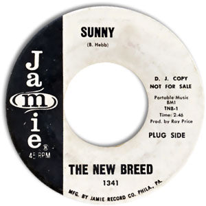 Sunny/ P.M. Or Later