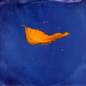 True Faith (The Morning Sun)/ True Faith