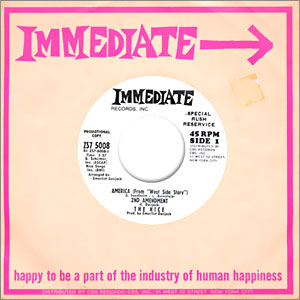 America - 2nd Amendment