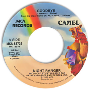 Goodbye/ Seven Wishes