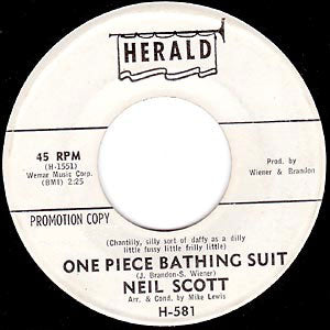 One Piece Bathing Suit