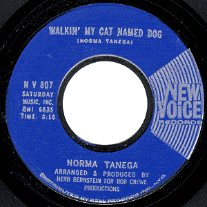 Walkin' My Cat Named Dog/ I'm The Sky