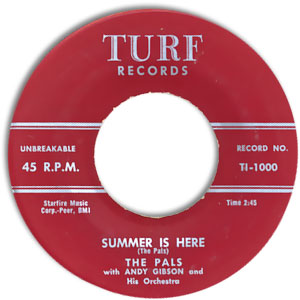 Summer Is Here/ My Baby Likes To Rock