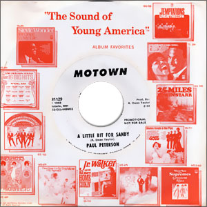 A Little Bit for Sandy