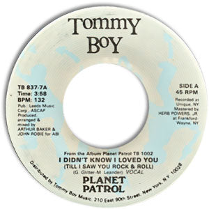 I Didn't Know I Loved You (Til I Saw You Rock and Roll)/ Play At Your Own Risk