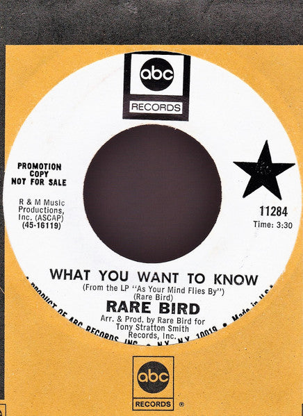 What You Want To Know/ Hammerhead