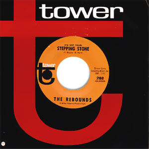 (I'm Not Your) Stepping Stone/ Since I Fell For You