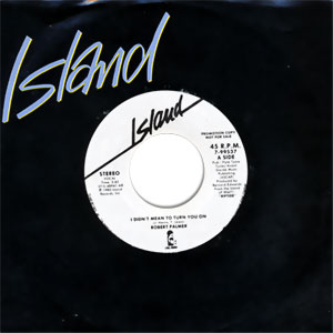 I Didn't Mean To Turn You On