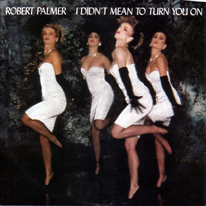 I Didn't Mean To Turn You On