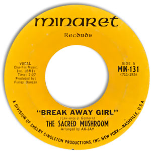 Break Away Girl/ Yellow Fellow