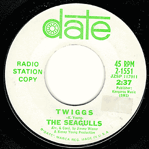 Twiggs/ Charlie No One