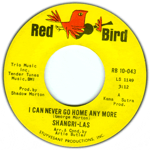 I Can Never Go Home Any More/ Bull Dog