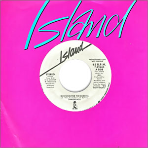 Gunning for the Buddah