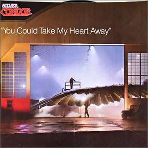 You Could Take My Heart Away/ Goin' For Broke