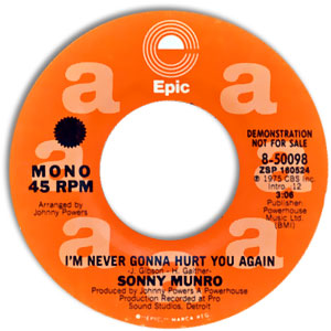 I'm Never Gonna Hurt You Again