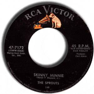 Skinny Minnie/ Every Little Once In A While