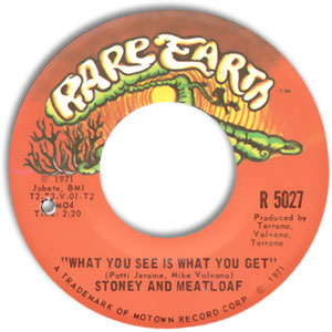 What You See Is What You Get/ Lady Be Mine