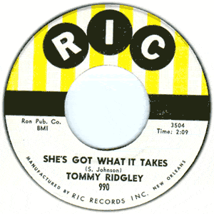 She's Got What It Takes/ My Ordinary Girl