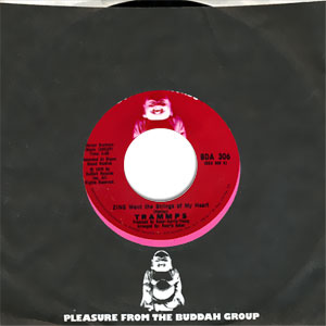 ZING Went The Strings of My Heart/ Penguin at the Big Apple