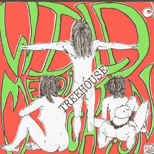 Wild Medication/ Hey Everybody