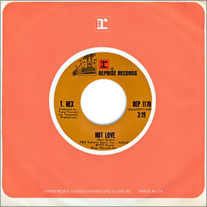 Hot Love/ Rip Off