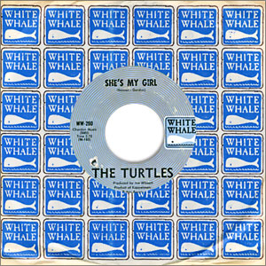 She's My Girl/ Chicken Little Was Right