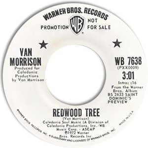 Redwood Tree/ Saint Dominic's Preview