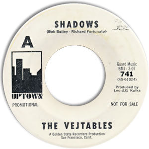 Shadows/ Feel The Music