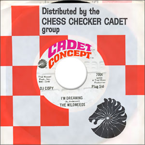 I'm Dreaming/ Happiness Is Just An Illusion