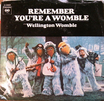 Remember You're A Womble