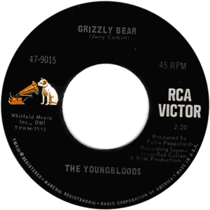 Grizzly Bear/ Tears Are Falling