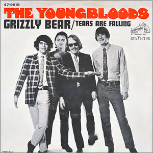 Grizzly Bear/ Tears Are Falling