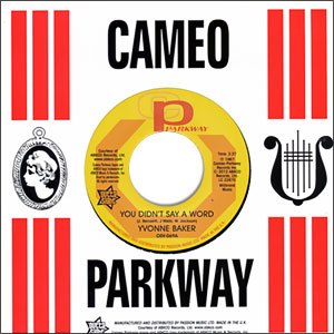 You Didn't Say A Word / Pictures Don't Lie