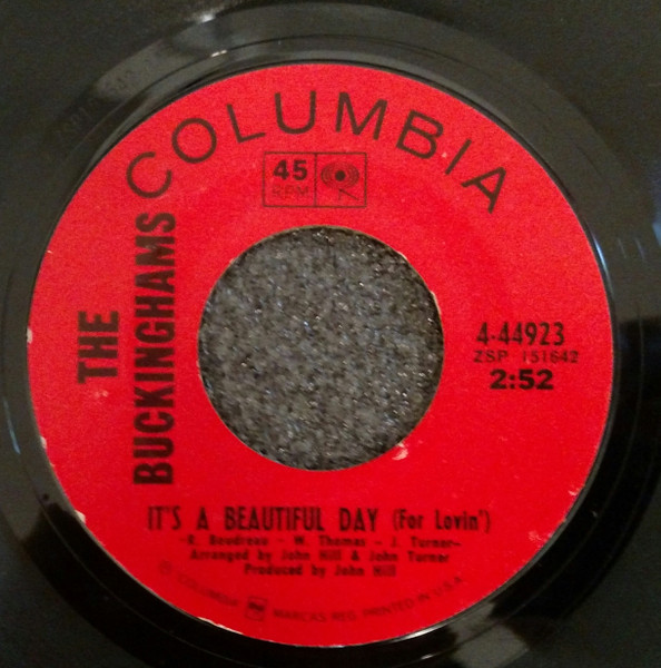  It's A Beautiful Day (For Lovin')/ Difference of Opinion 45 Record 